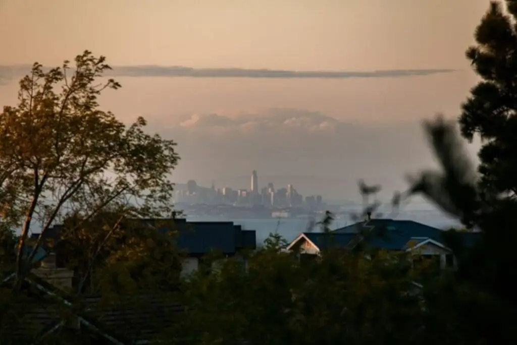 Why Site Consultation Fees Are Worth It for Seismic Work